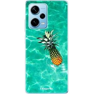 iSaprio Pineapple 10 pre Xiaomi Redmi Note 12 Pro+ 5G